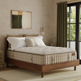 King Koil Natural Willow Haven Plush Mattress